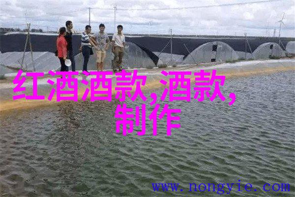 除了法国意大利和西班牙还有哪些国家也拥有悠久而重要的红酒传统呢