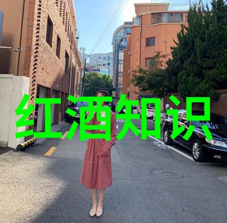 亲近艺术感受文化我精心策划的收藏活动计划书
