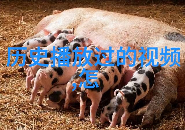 钱币收藏新篇章全国博览会揭开神秘面纱