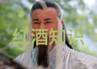品味世界咖啡文化之旅