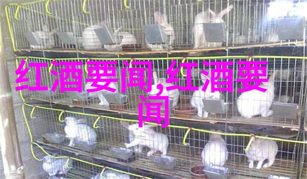 宙斯的玩具箱天界趣事与神秘小常识