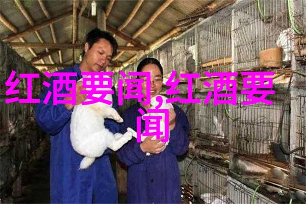 手机收藏管理掌握查看技巧提升便捷性