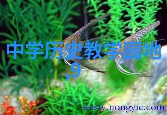 新手入门画动漫人物我是怎样一步步学会画动漫角色