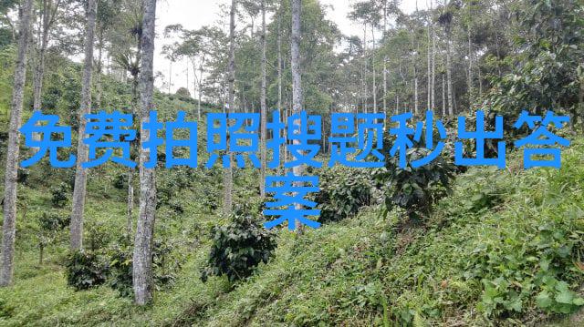 动漫人物画法研究与实践指南