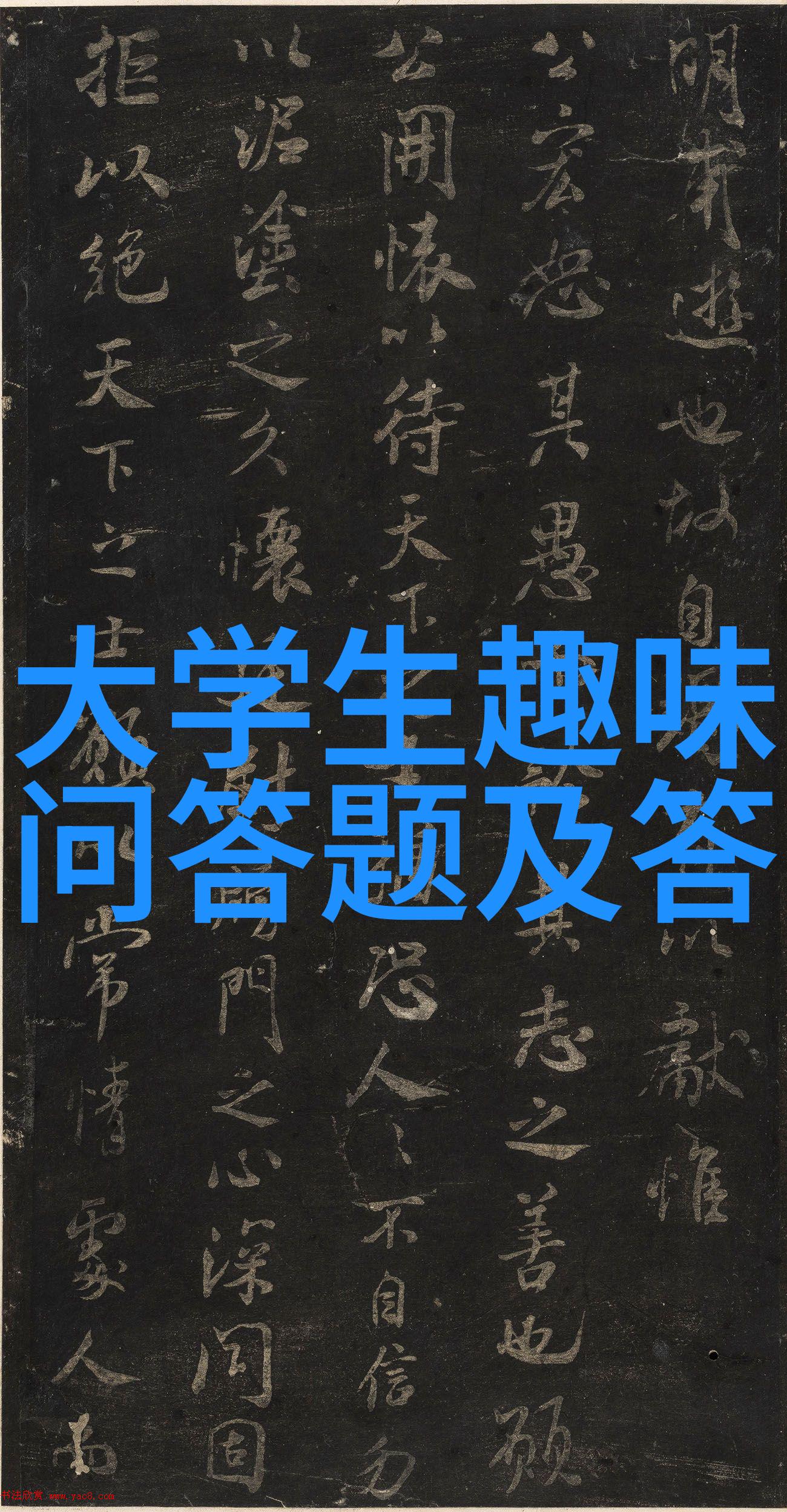 书香庄园收藏家的栖息地与知识之源