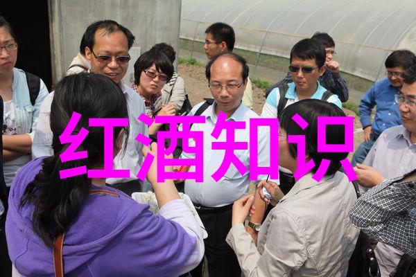 艺术品收藏之美探索古今中外珍品的故事与价值