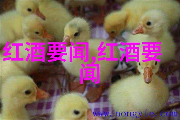 12.9运动与中国民主进步的里程碑回顾与展望