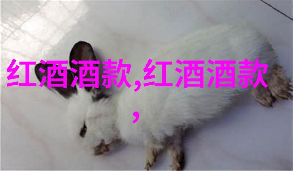 南星山上的魔法花海探索白玫瑰庄园的奇迹