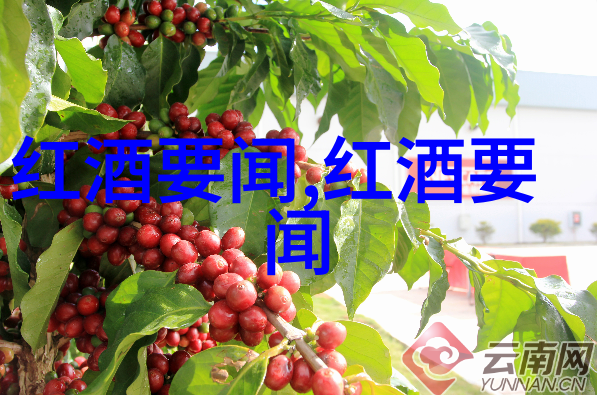 世界巡礼各国文化中对猫品种图片的独特理解是什么