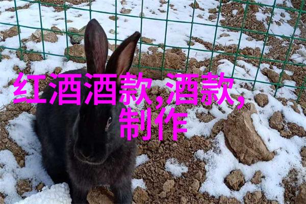共和国的楷模一个时代的智者与勇士