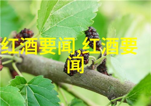 历史上的今天 Courtney Luscher为您揭秘葡萄酒的古老智慧