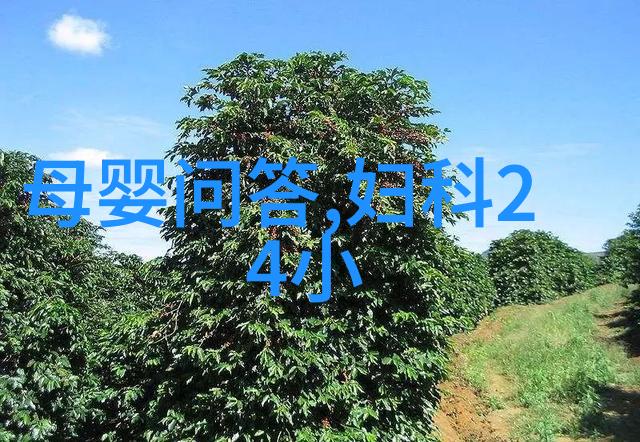 中国女子闯入海湖庄园难道不是奥兰多酒业的新篇章吗