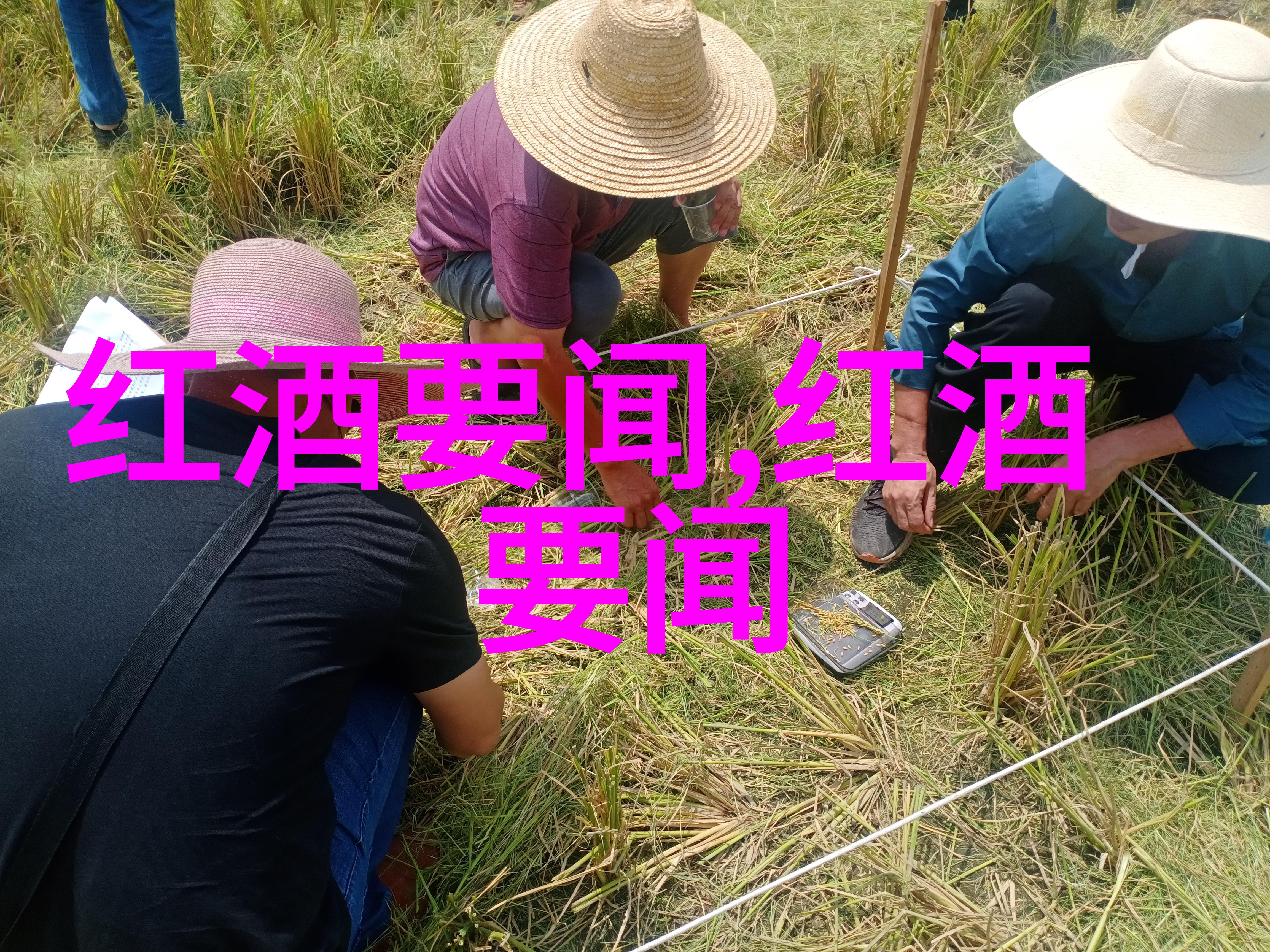 宝宝快点我坚持不住了视频催生焦急父母的网络视频