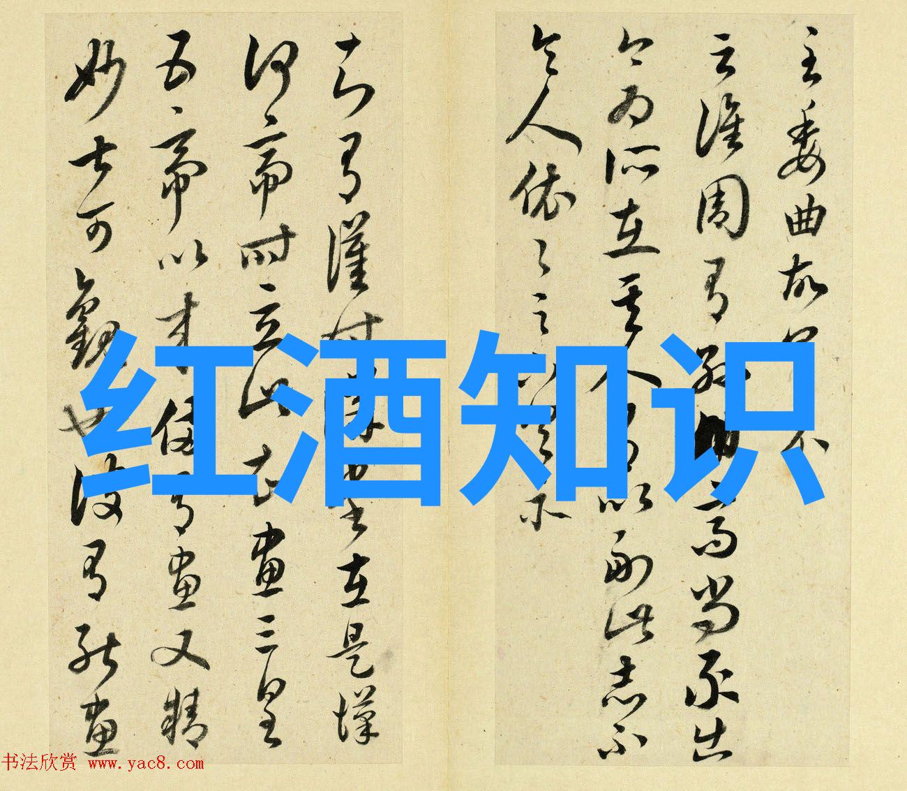 如何看待中国女商人在艺术和文化领域中的崛起作为一种新的趋势