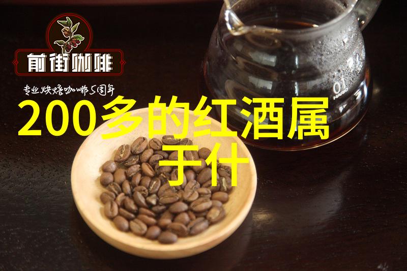 中国国家足球队世界杯之旅中国足球梦之战在巴西