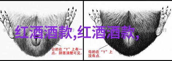 世界各地独特猫品种探索100个神秘的家中新成员