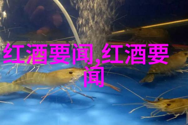抗美援朝英雄人物事迹简介忠诚卫士的光辉篇章