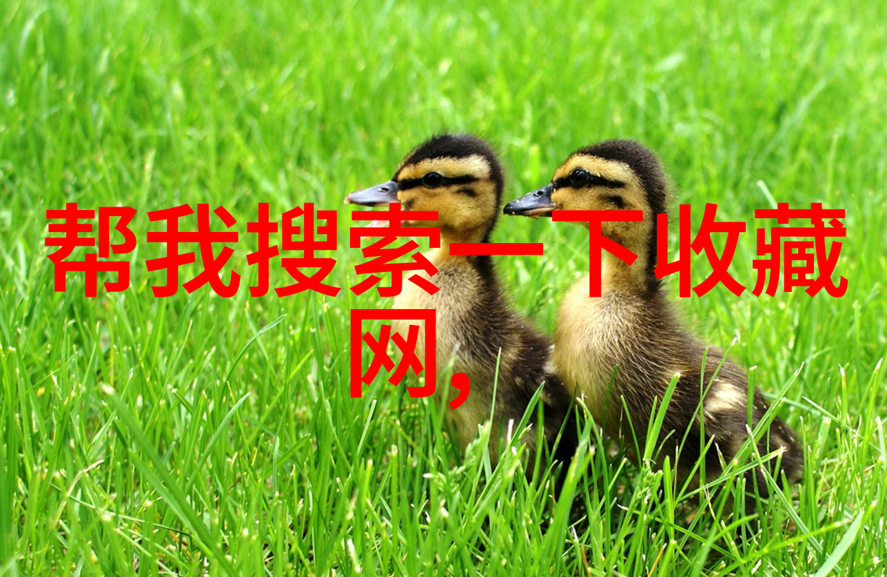 历史上的今天回望往昔重温珍贵瞬间