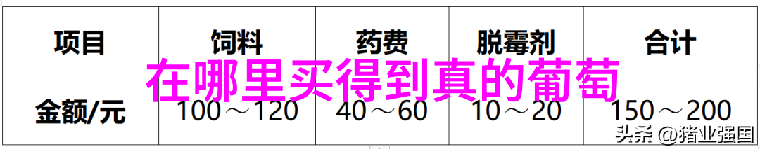 探索上海周边精选美景与趣味体验