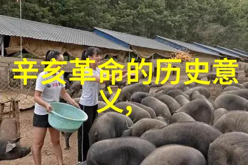 绘卷之珍探索油画收藏的艺术与魅力