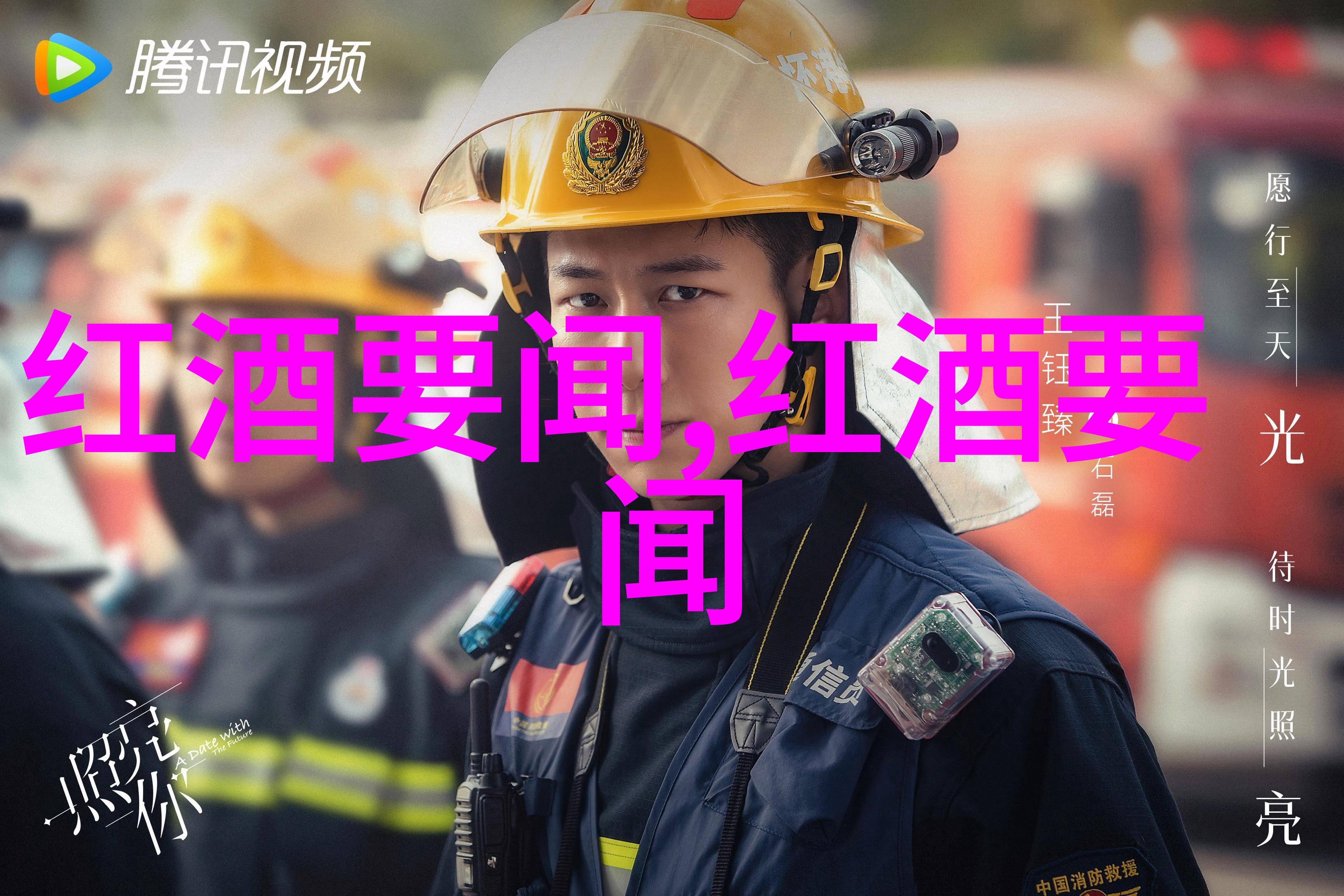 猫品种大全及易发病-喵呜百态揭秘各类猫品种及其常见健康问题