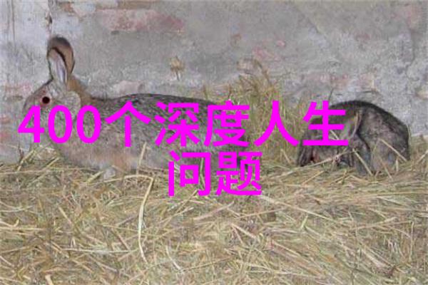 领先的港口生产商仿佛一位老人怀旧地宣布了它在2020年收获的玉米丰硕多样如同一幅幅精彩纷呈的不同品种