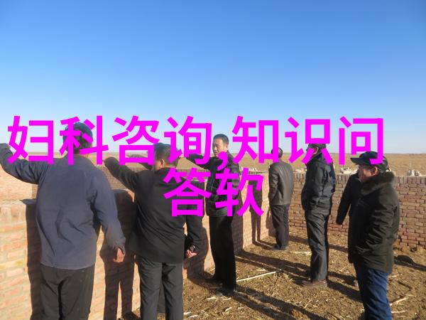 主题-中国雄鹰与巴西风暴2014年世界杯的激烈对决