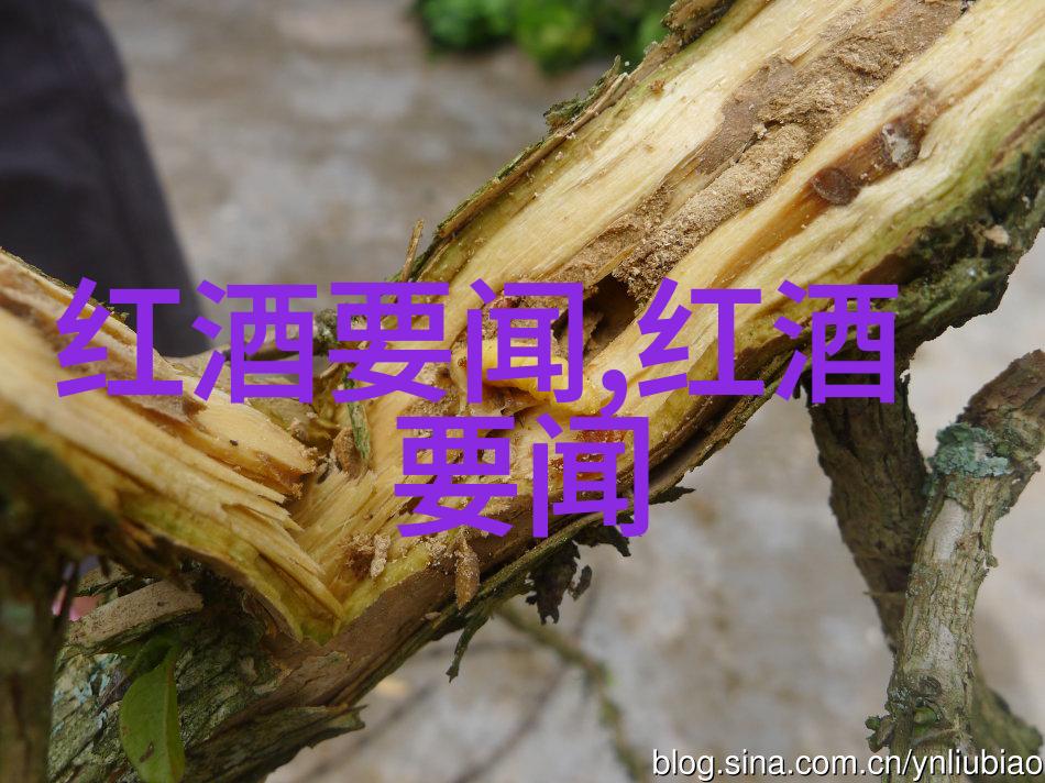 360快问快答快速解锁用户需求