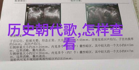 职场新手如何快速适应团队环境