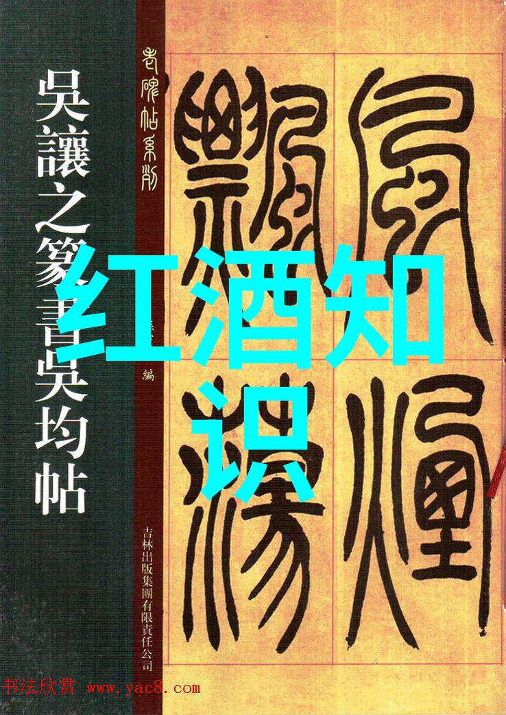 深度解析企业财务状况评估与风险预警一个典型案例研究