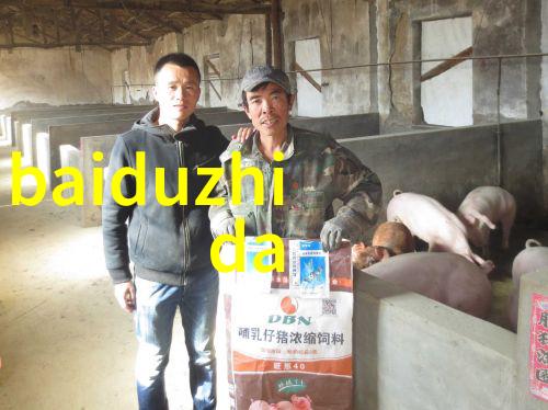 玉米品种概述探索多样性与适应性的奥秘