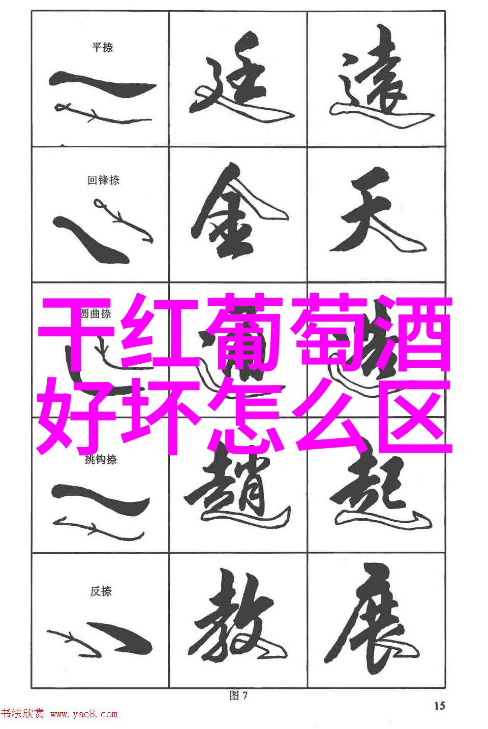 绘彩人生从线条到色彩的艺术征程