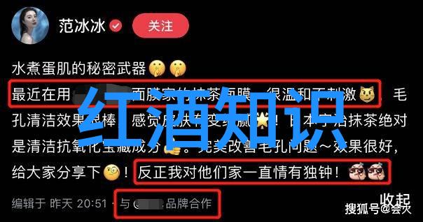 四年级的小小历史导游带你走进传统的世界