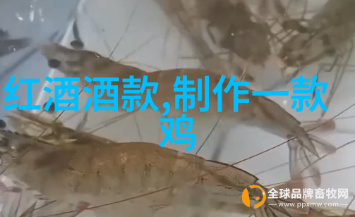 动漫人物画法精髓掌握动漫风格的基本画法技巧