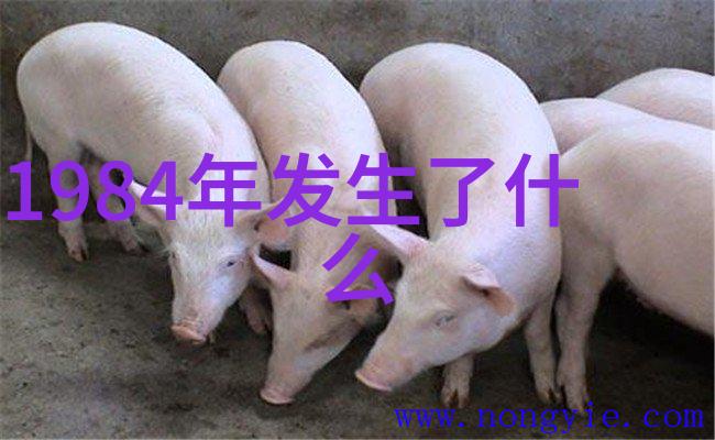 知识问答软件-智能解答探索人工智能时代的知识问答系统