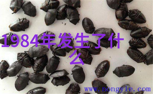 静寂中的永眠一幅死亡女人的沉思