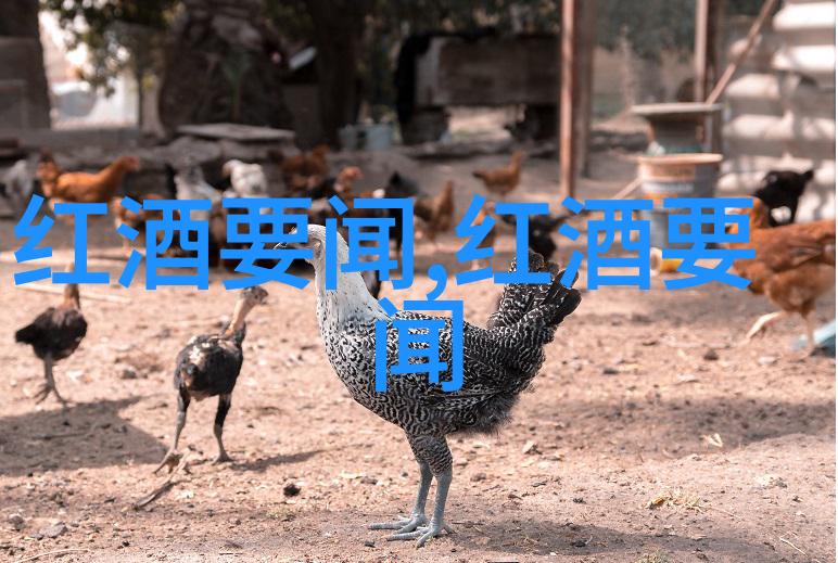 成都周边旅游景点推荐 - 川藏线上的神秘足迹探索成都周边的自然奇观与文化瑰宝