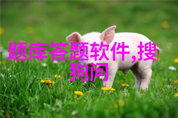 美洲森林猫的活泼个性和如何培养良好习惯