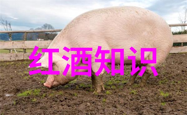 斗罗玉转免费漫画神秘古怪的世界精彩纷呈的冒险