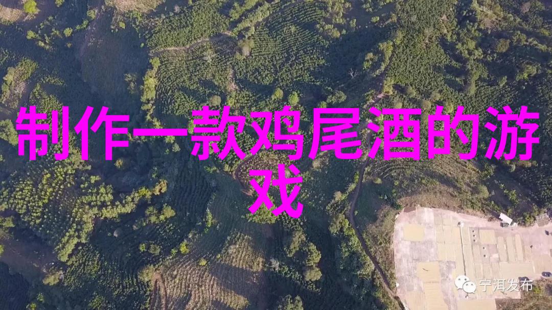 追逐稀世珍品大收藏家的传奇故事