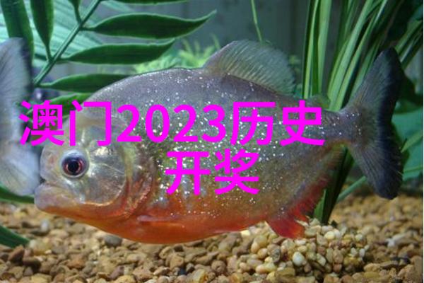 主题我眼中的附近比较近的景点那些值得一去的秘密角落