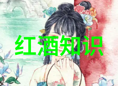 美国葡萄酒知识大全亲自探秘美味的源头