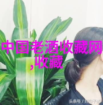 北京碧水庄园二期-绿意盎然的现代生活北京碧水庄园二期社区建设新篇章