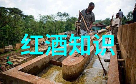 酒桌文化-万能敬酒词点缀人生佳酿