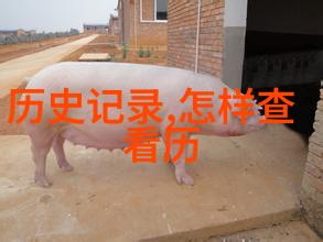 上下一致在吃与做中寻求平衡