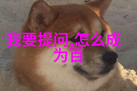 以色列与巴勒斯坦的历史渊源-从圣地到冲突探索中东两国深厚的文化遗产