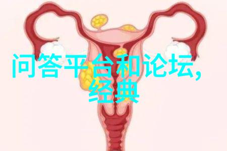 4级庄园设计图详细教程步骤亲自跟着我来一场庄园设计的奇妙之旅