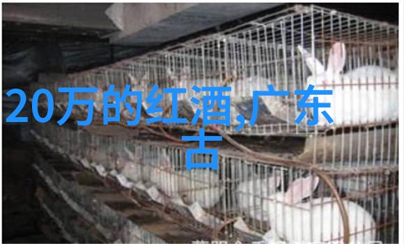 南土酒庄今天蚂蚁庄园小课堂的答案是什么