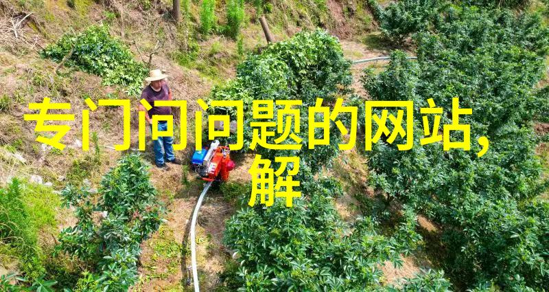 个人收藏怎么删除我是如何彻底清理手机里的那些无用的照片和文件的