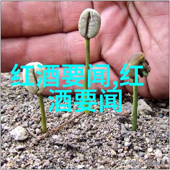 猫品种查询-探索世界各地的猫咪珍宝一篇全面指南